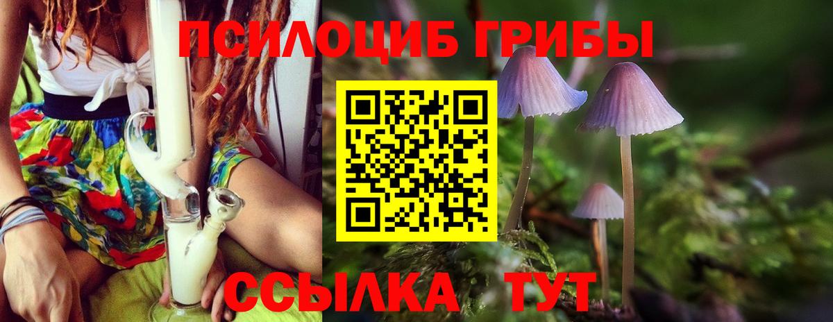 Галлюциногенные грибы прущие грибы Жуковский