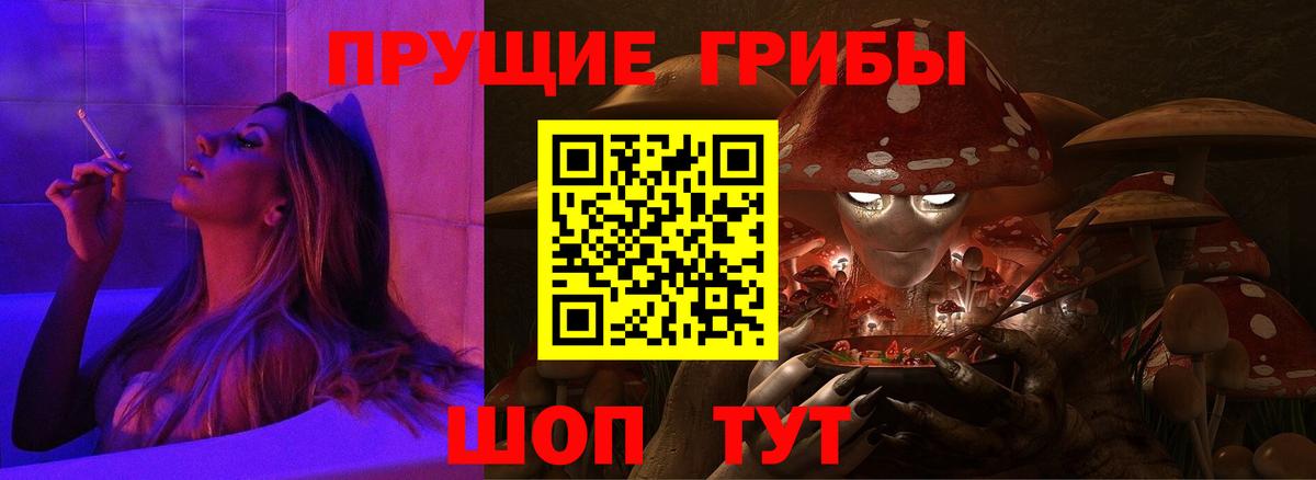 Жуковский  Псилоцибиновые грибы Psilocybine cubensis  Вход с VPN 