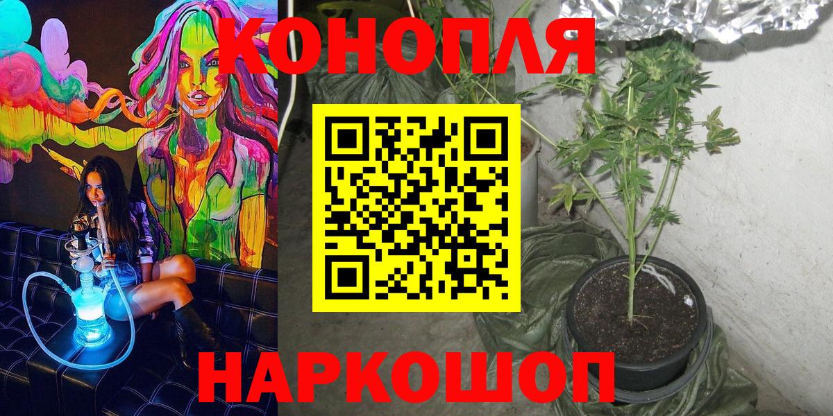 Бошки марихуана SATIVA & INDICA Жуковский